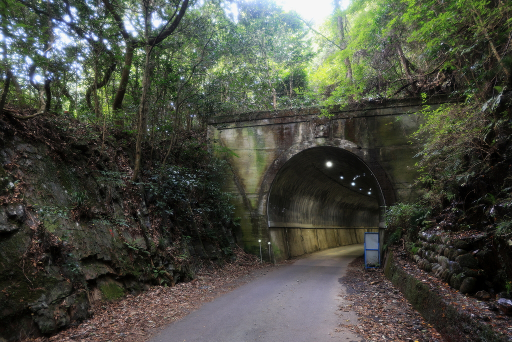 蘇水峡トンネル①