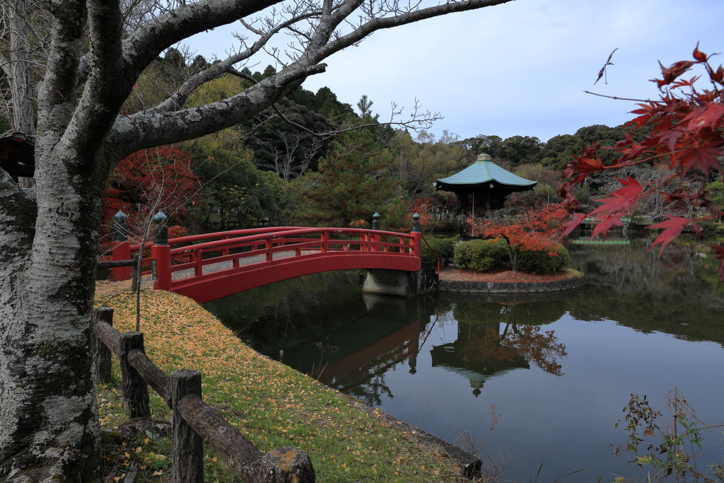 定光寺①
