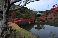 定光寺①