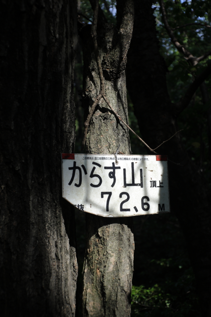 お気に入りの公園の山頂です