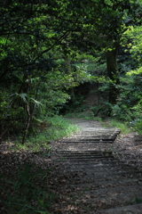 からす山頂上まであと10m