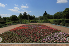 春日井市緑化植物園にて②