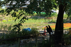 発声練習？