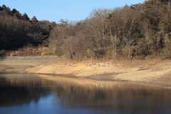 ３月の陽気に誘われて①