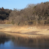 ３月の陽気に誘われて①