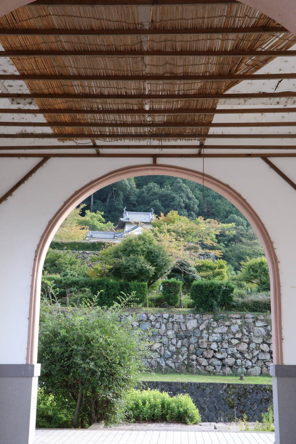 出石城   西隅櫓色づき始め