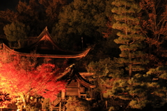 燃える秋⑥