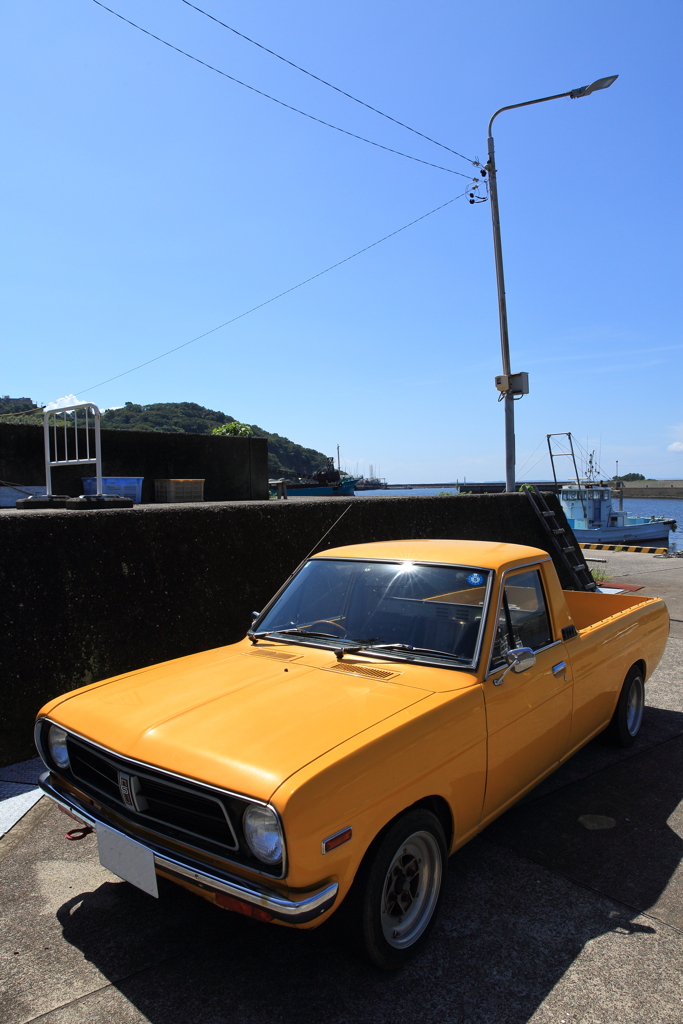 SUNNY TRUCK