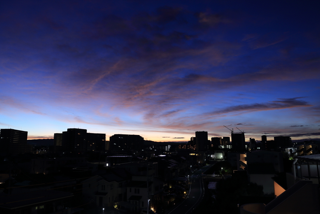 東雲（しののめ）①