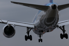 Boeing 787-8 Dreamliner