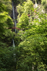 新緑の五宝滝②