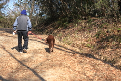老人と老犬