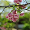 ぎふ清流里山公園にて①