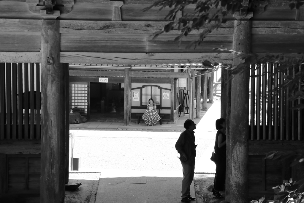 酷暑  妙成寺にて