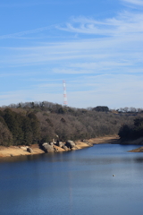 ３月の陽気に誘われて③