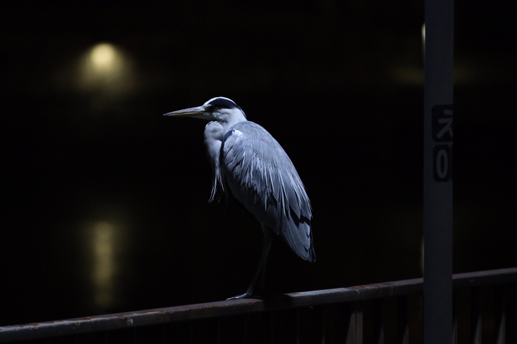 そっとしておいて