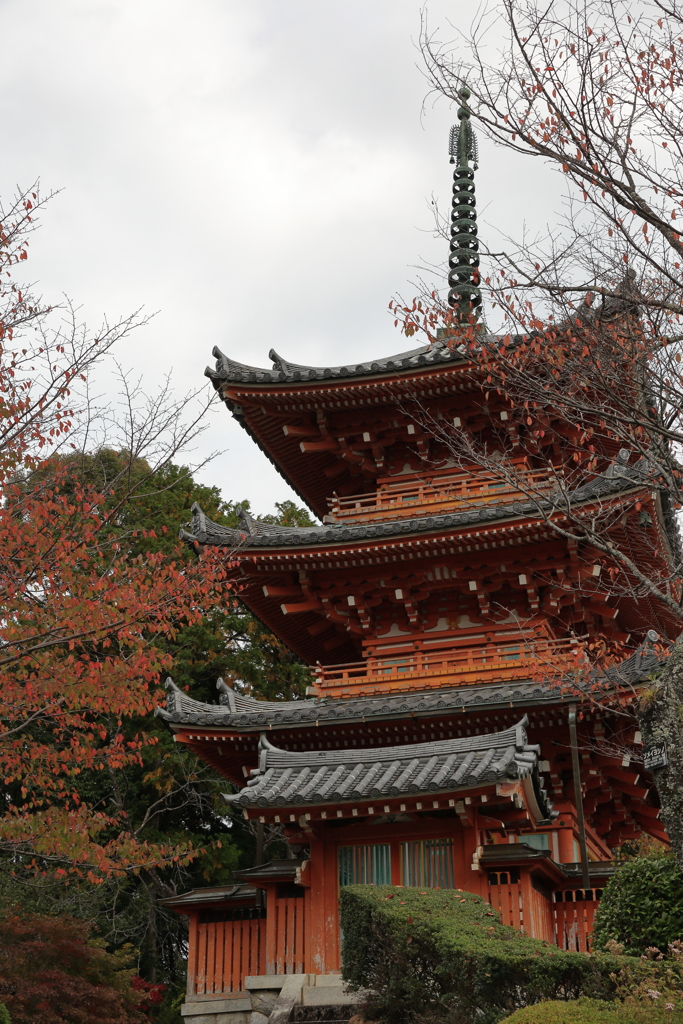 彩り始める三重の塔