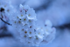 蒼天①