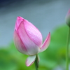 今日は雨、誰もいない①