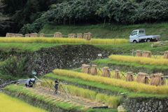 軽トラのある風景