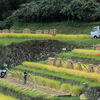 軽トラのある風景