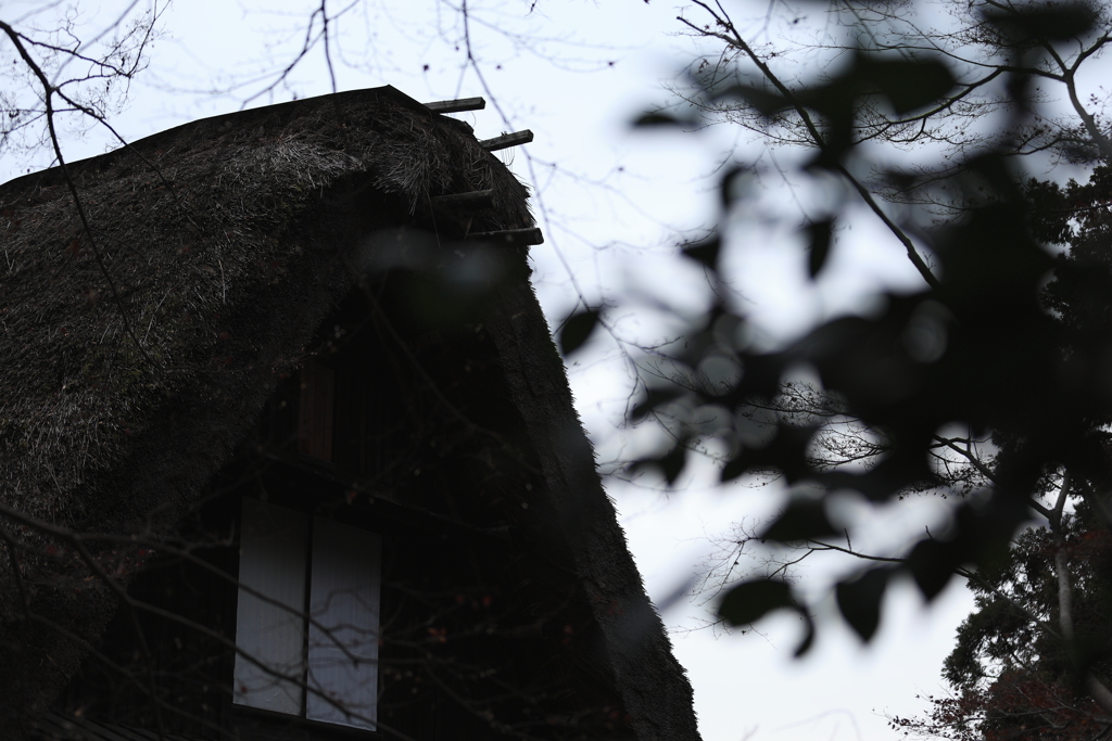 モノクロームの記憶