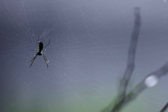 お家がびしょ濡れ