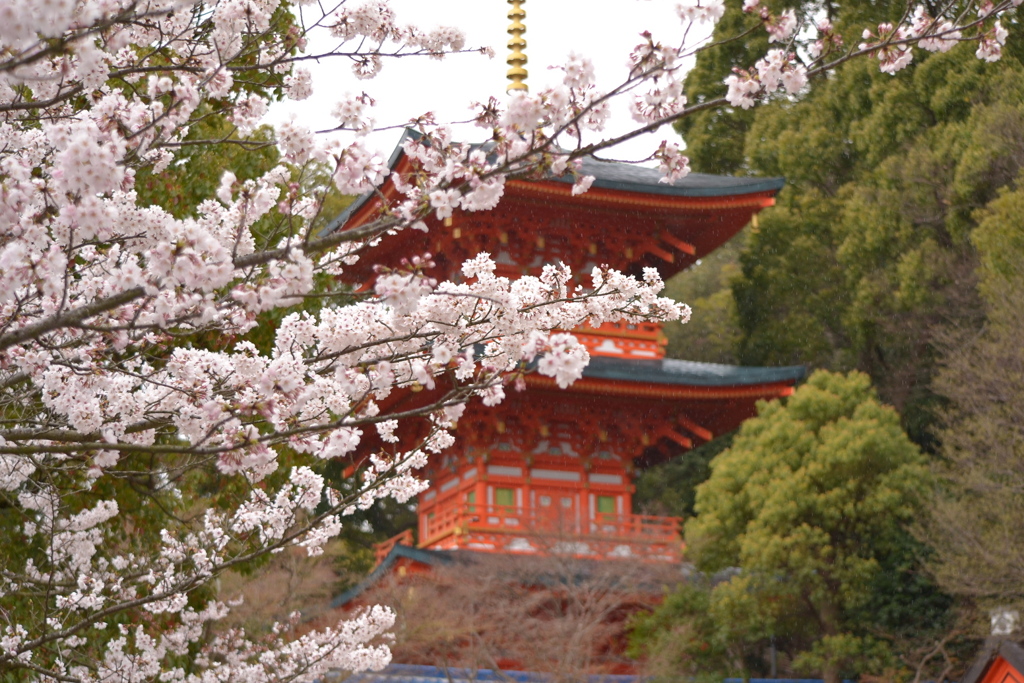 須磨寺