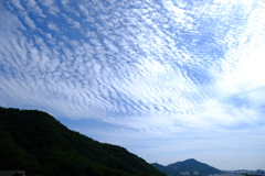 ウロコ雲