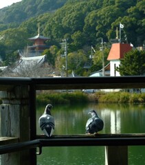 須磨寺公園