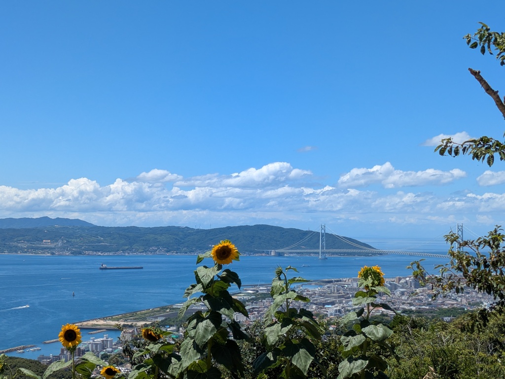 夏山