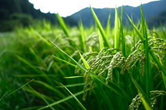 帰り道
