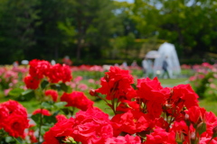 離宮公園