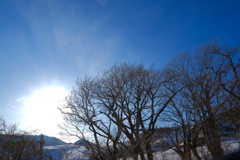 ハチ高原より