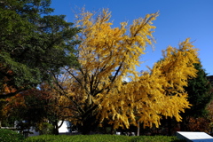 平和記念公園