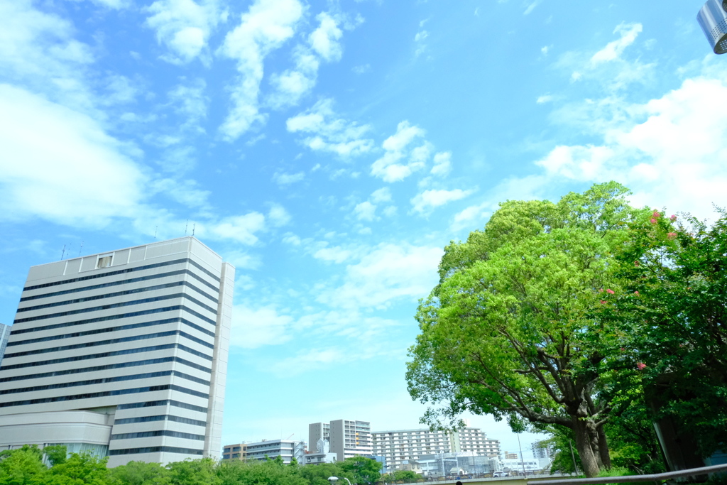 アクアライナー①