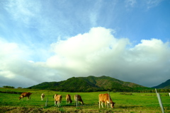 蒜山