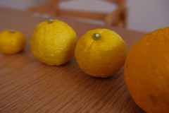 ゆず兄弟