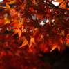 須磨寺