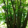 空気のよい場所