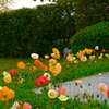 花壇