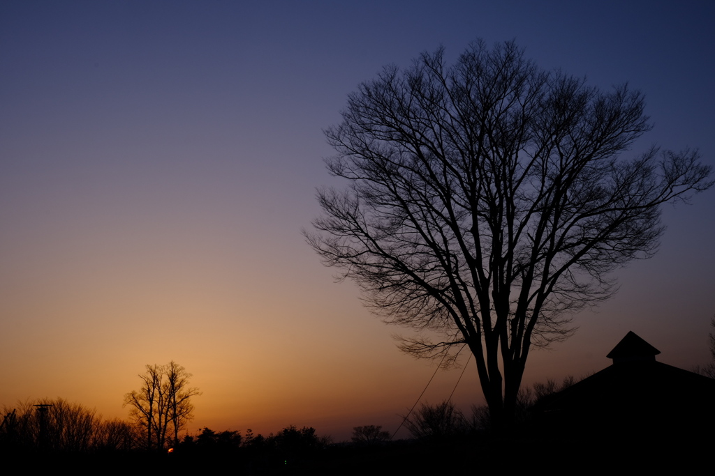 夕方