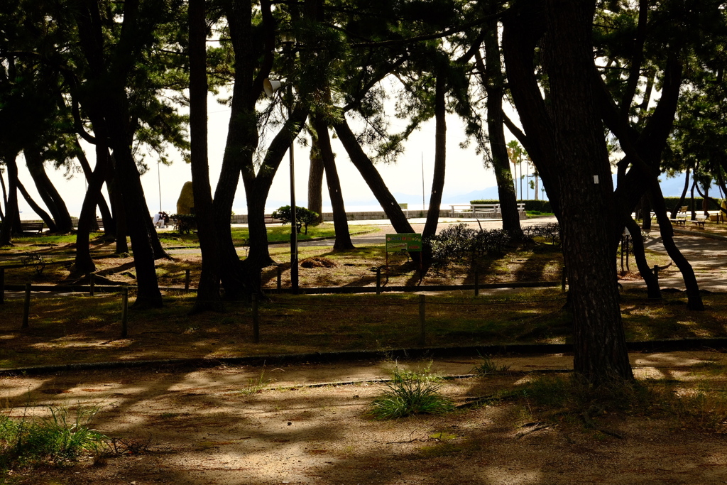 須磨海岸