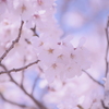 晴れの日