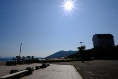 カメラデビュー