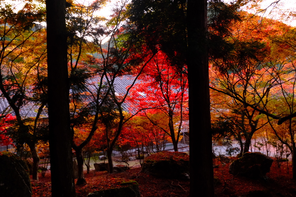 高源寺