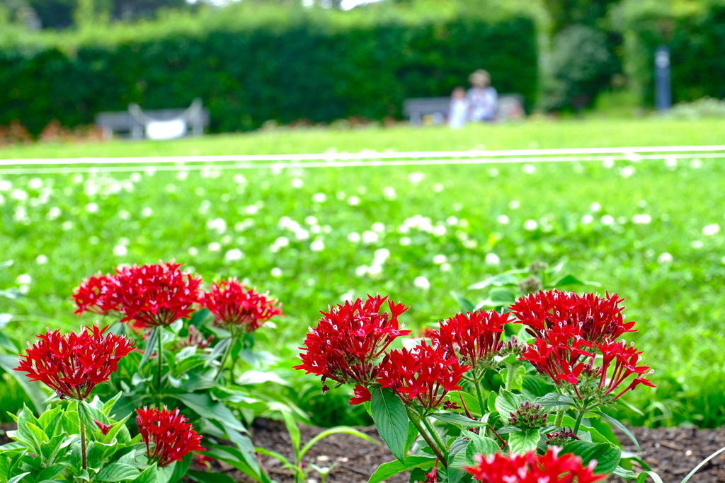 離宮公園