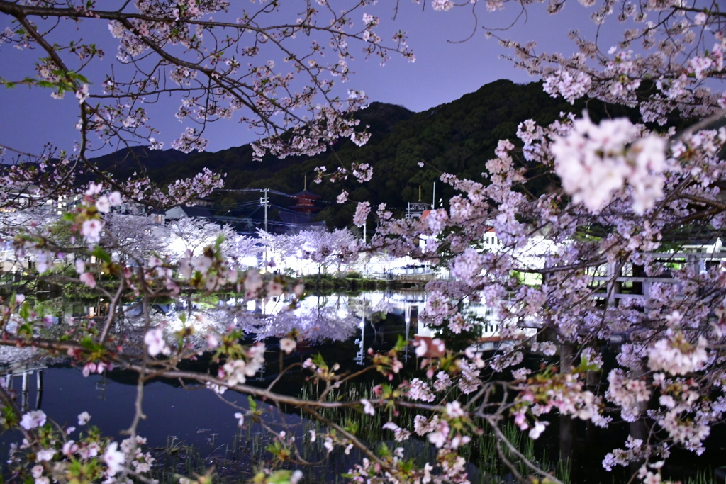 春の夜