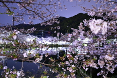 春の夜
