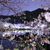 春の夜